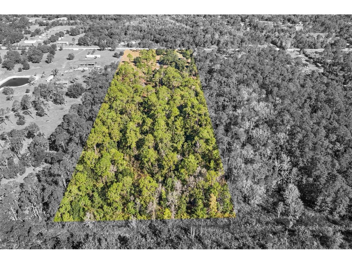 1405 Fazzini Drive Frostproof FL 33843 L4956990 image11