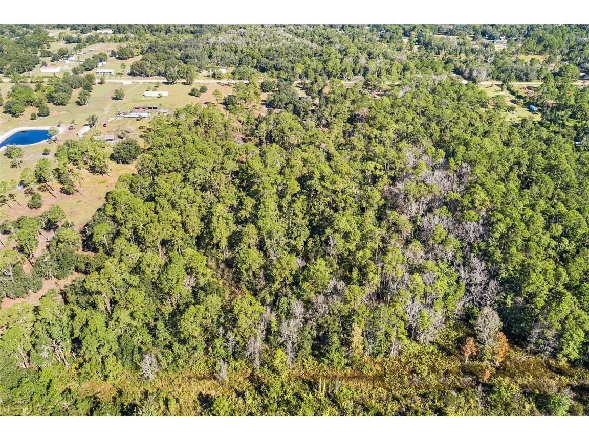 1405 Fazzini Drive Frostproof FL 33843 L4956990 image12