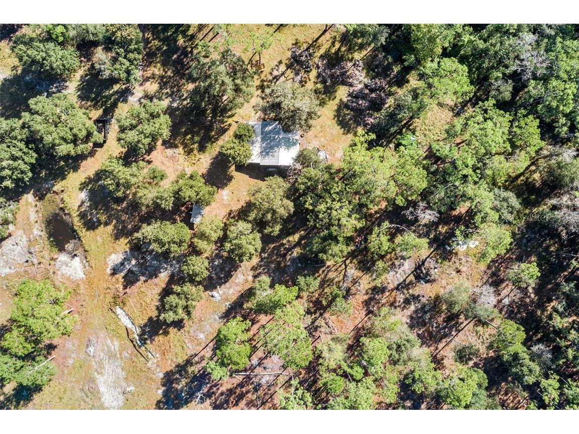 1405 Fazzini Drive Frostproof FL 33843 L4956990 image13