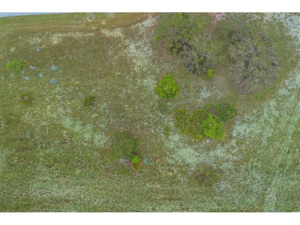 1405 Hillsborough Drive Poinciana FL 34759 O6306918 image4