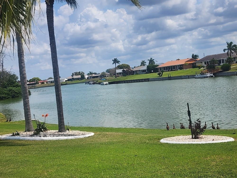 1405 Jacobson Circle Sun City Center FL 33573 - Middle lake TB8490671 image1