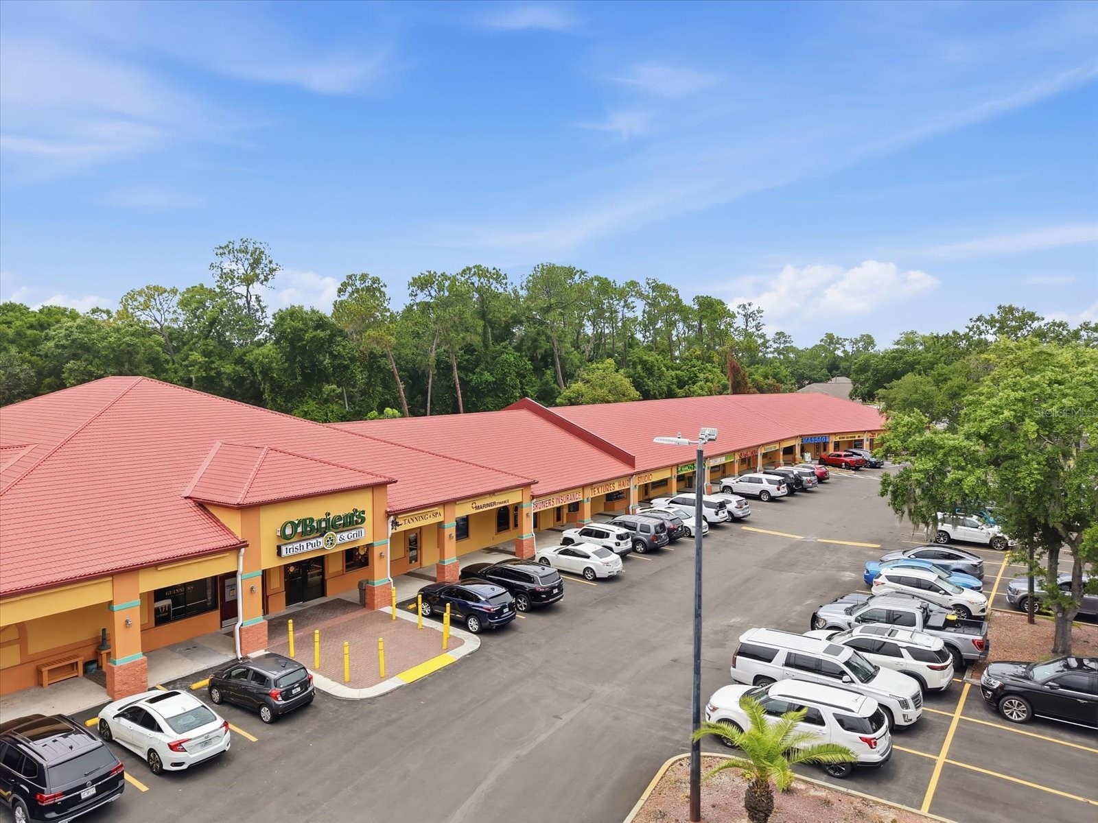 1405 Laurel Court Plant City FL 33563 TB8517967 image40