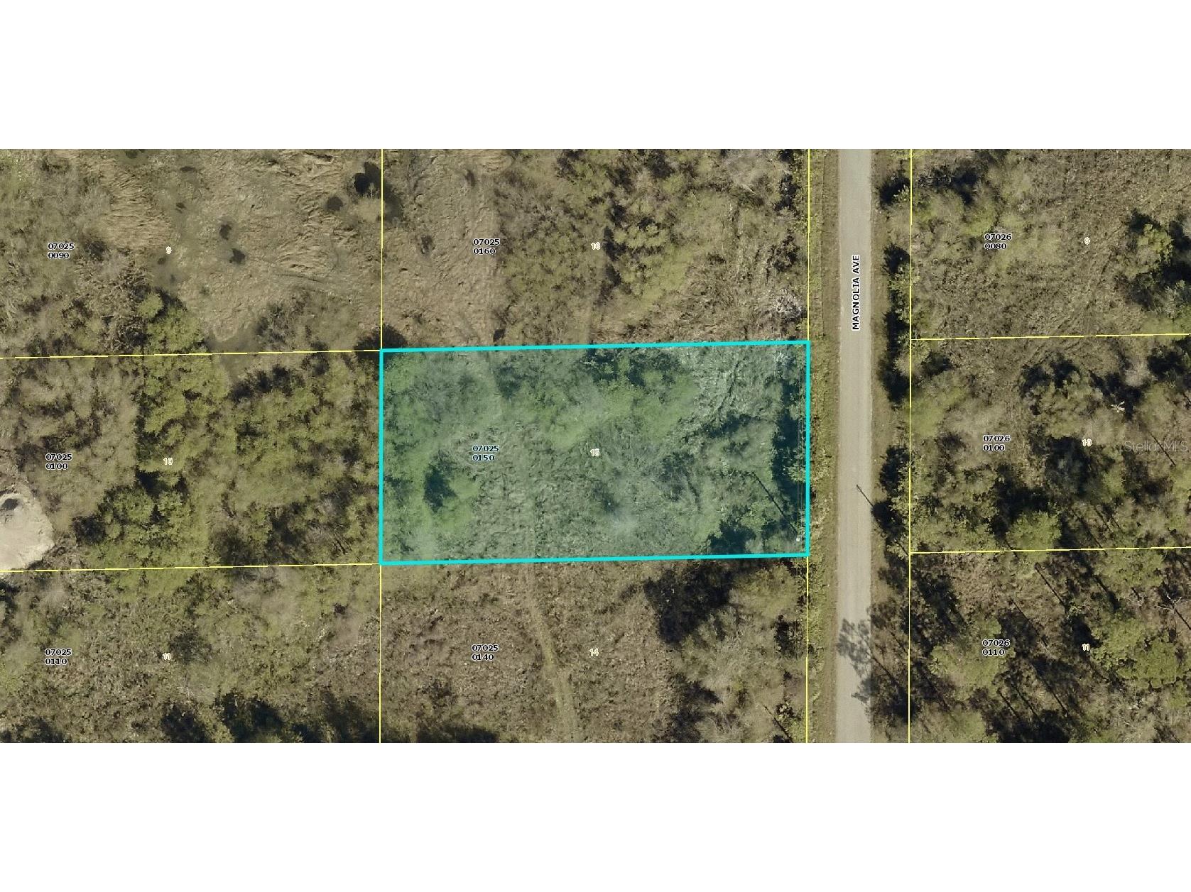 1405 Magnolia Avenue Lehigh Acres FL 33972 A4692370 image1