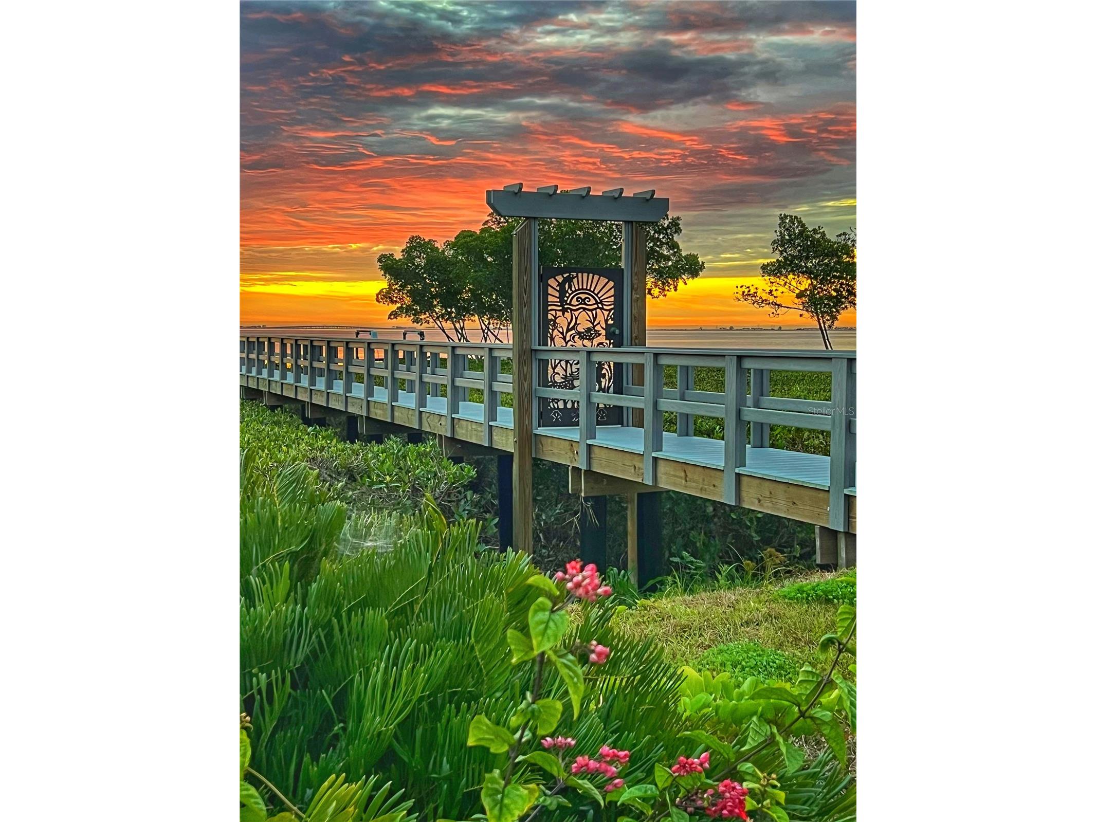1405 N Bayshore Drive Safety Harbor FL 34695 TB8486960 image21