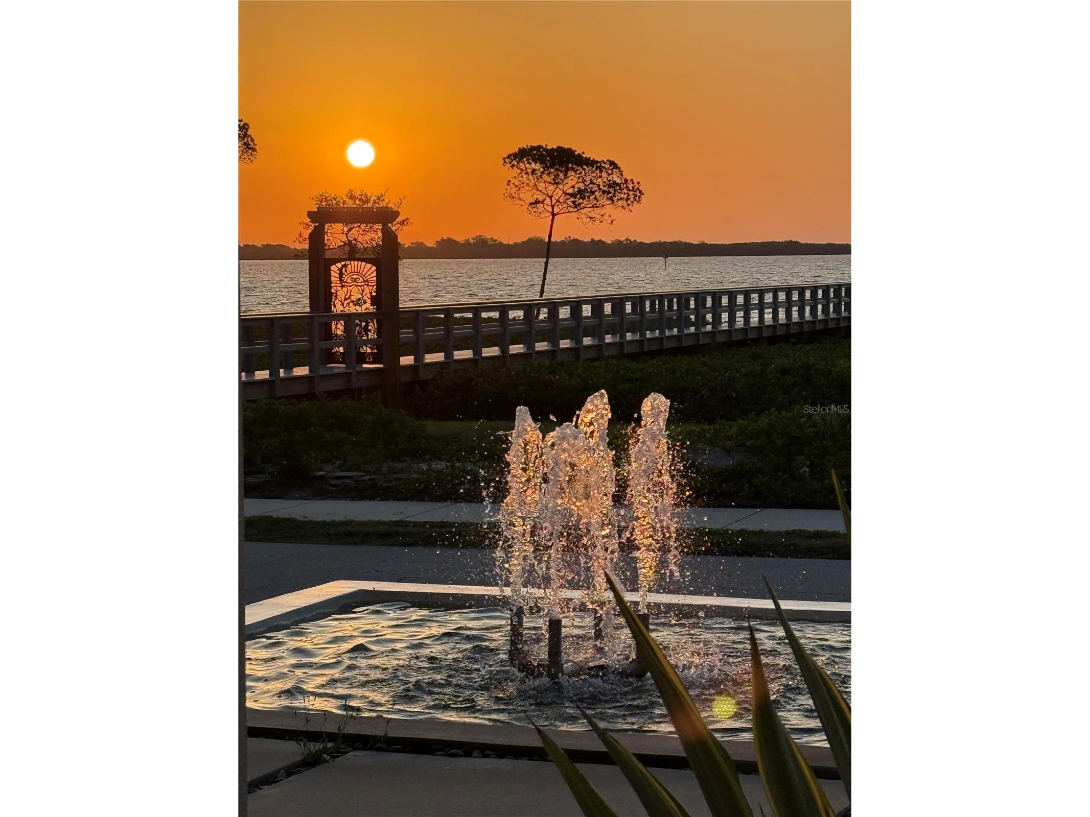 1405 N Bayshore Drive Safety Harbor FL 34695 TB8486960 image23