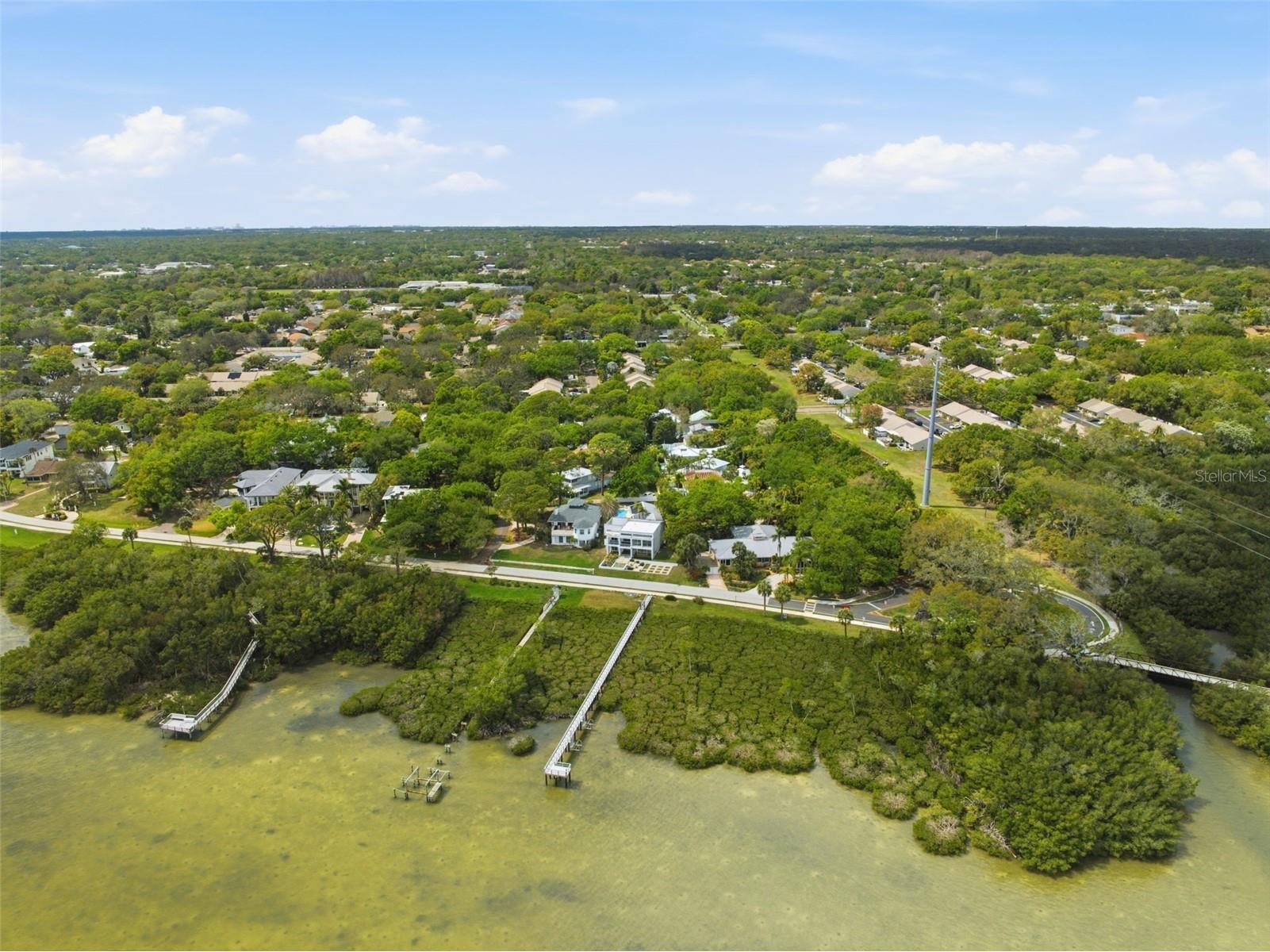 1405 N Bayshore Drive Safety Harbor FL 34695 TB8486960 image57