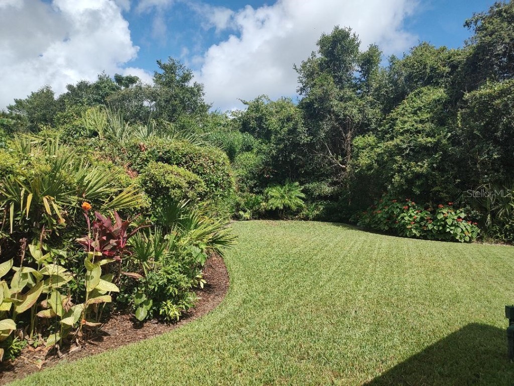 1405 Newry Circle Ormond Beach FL 32174 TB8421323 image4