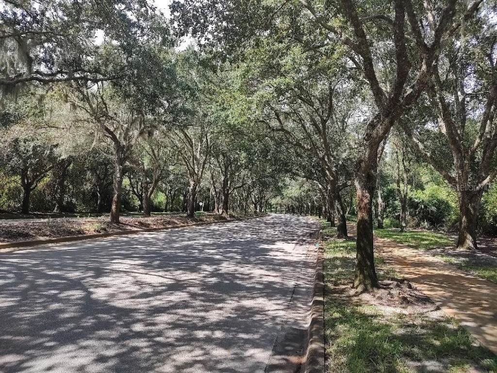 1405 Newry Circle Ormond Beach FL 32174 TB8421323 image40