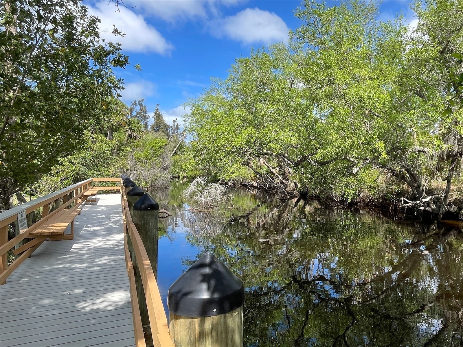 1405 Pine Lake Drive #5 Venice FL 34285 N6143774 image58