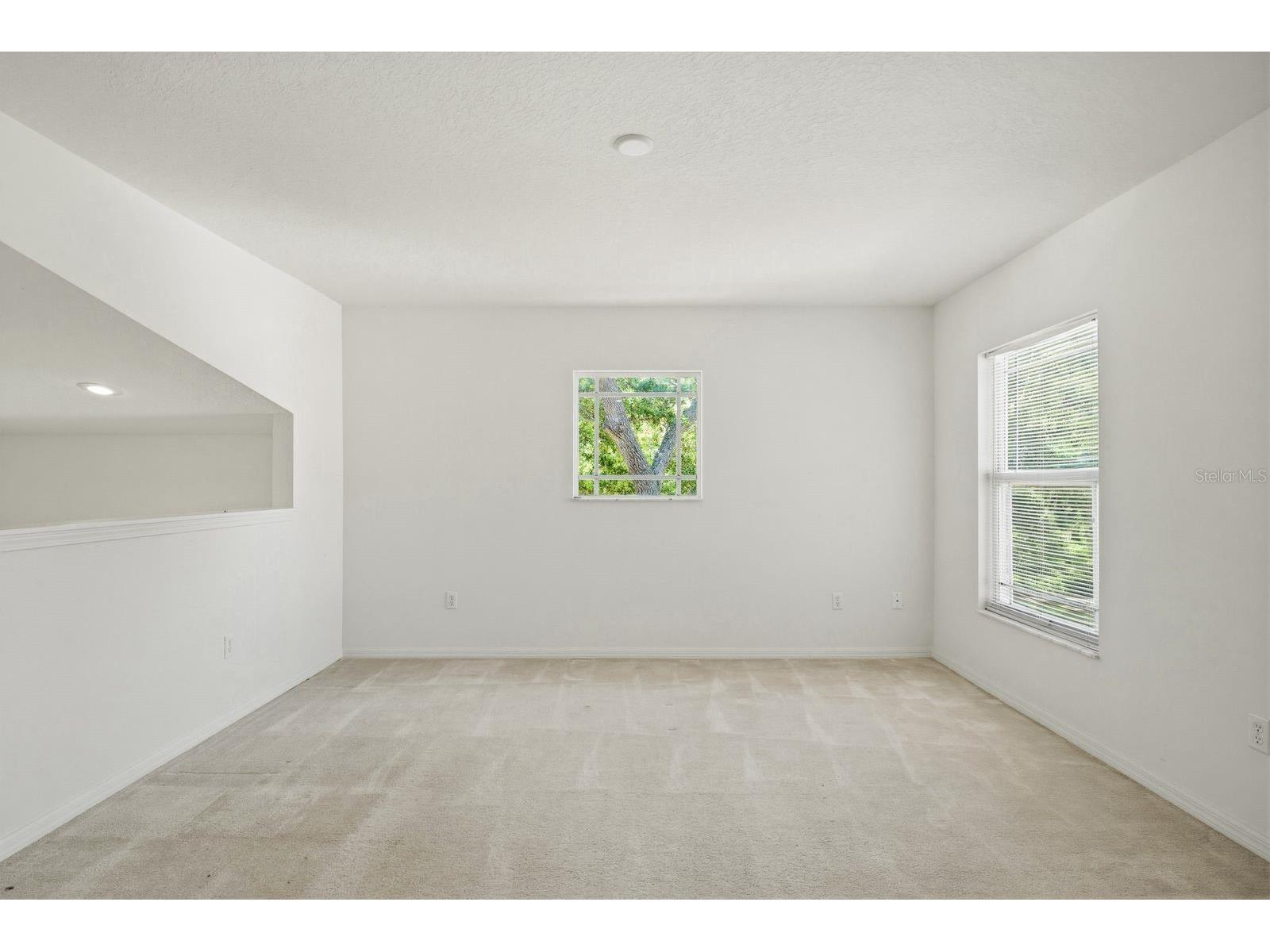 1405 Ridge Terrace Tarpon Springs FL 34689 TB8505371 image19