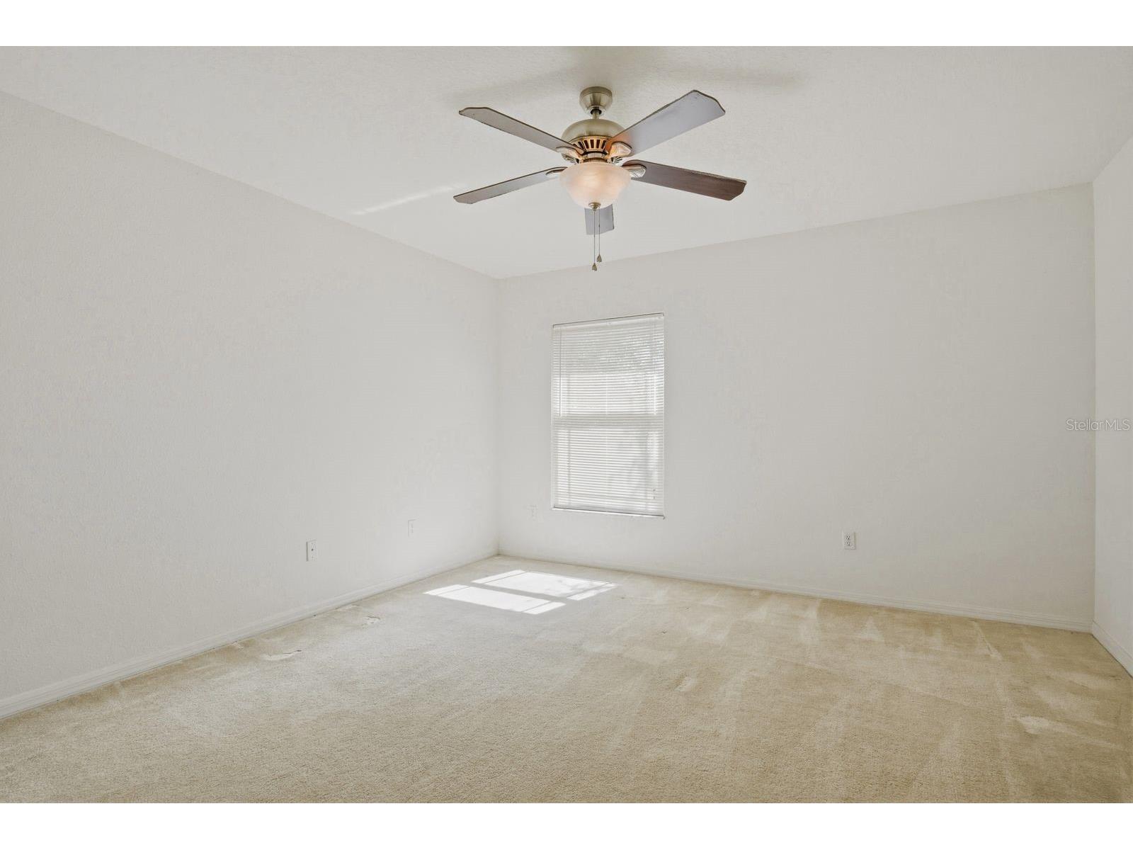 1405 Ridge Terrace Tarpon Springs FL 34689 TB8505724 image23