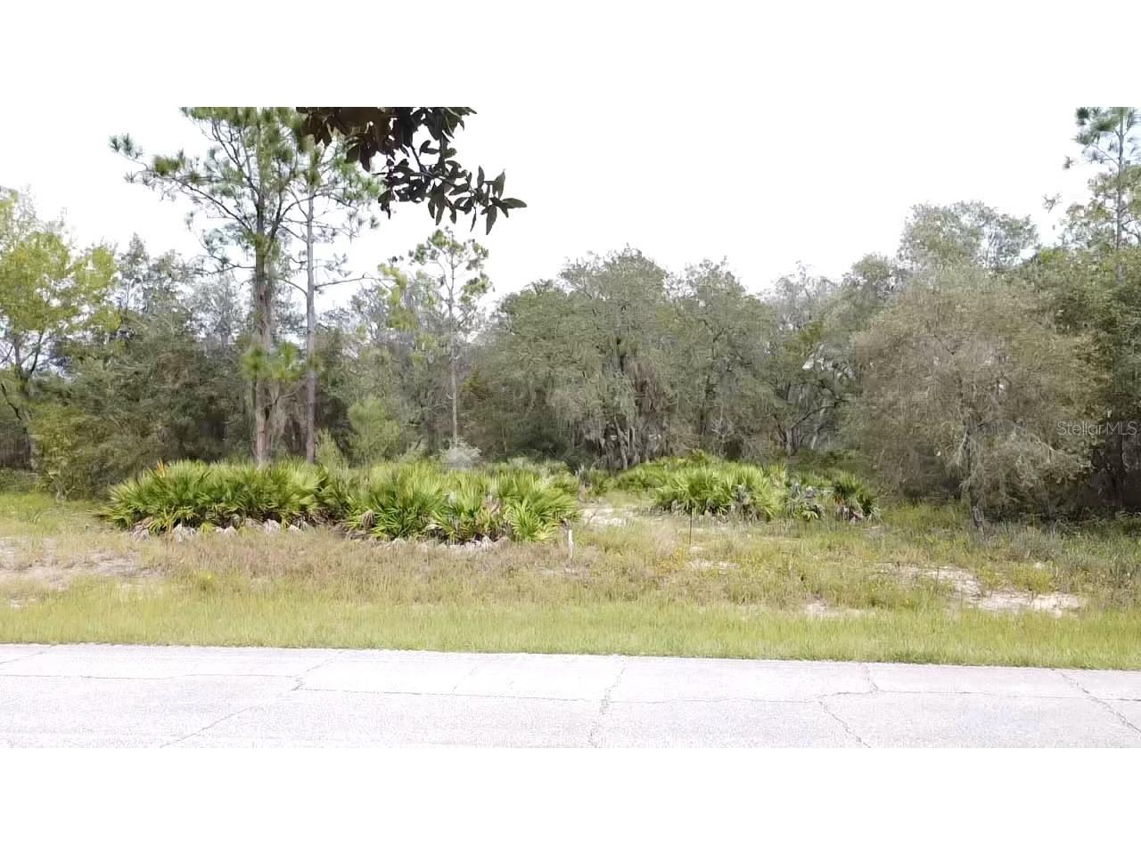 1405 Sarasota Court Poinciana FL 34759 S5099191 image12