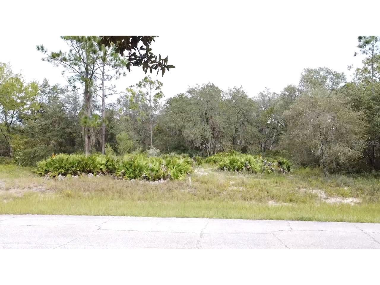 1405 Sarasota Court Poinciana FL 34759 S5099191 image2