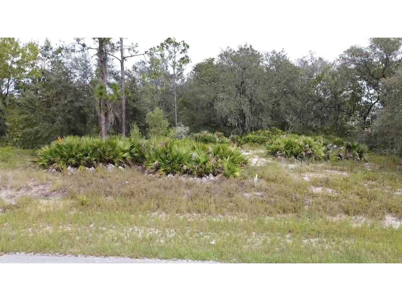 1405 Sarasota Court Poinciana FL 34759 S5099191 image22