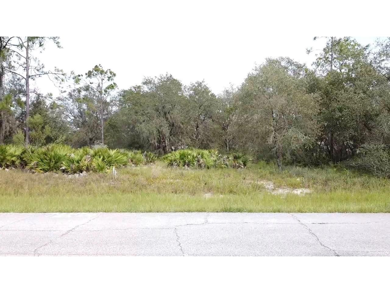 1405 Sarasota Court Poinciana FL 34759 S5099191 image4