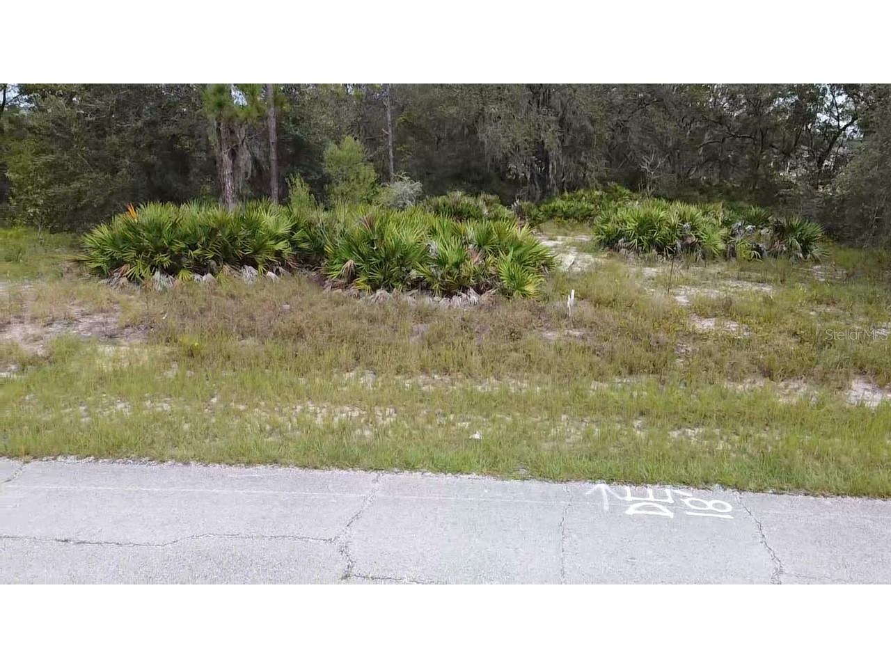 1405 Sarasota Court Poinciana FL 34759 S5099191 image16