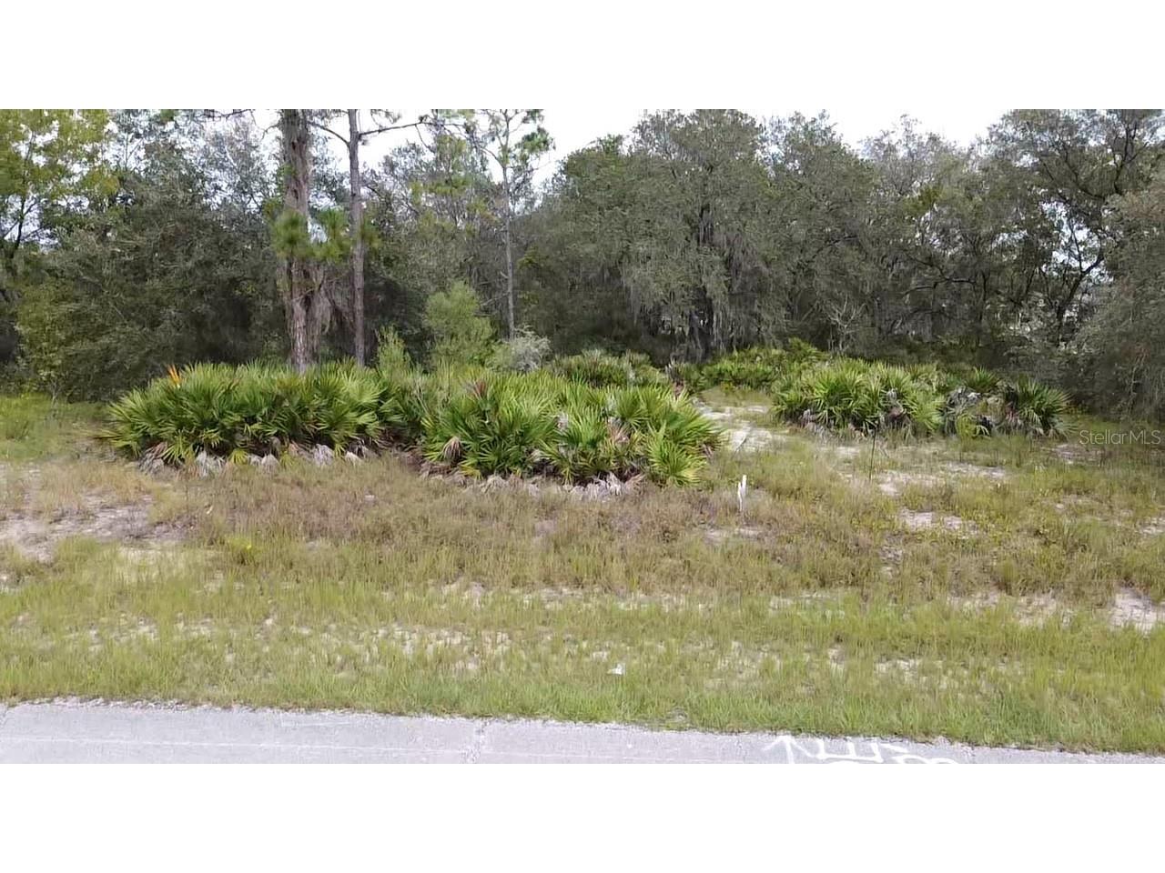 1405 Sarasota Court Poinciana FL 34759 S5099191 image17
