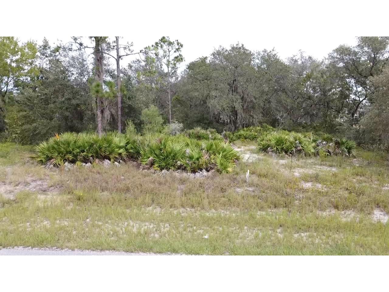 1405 Sarasota Court Poinciana FL 34759 S5099191 image20