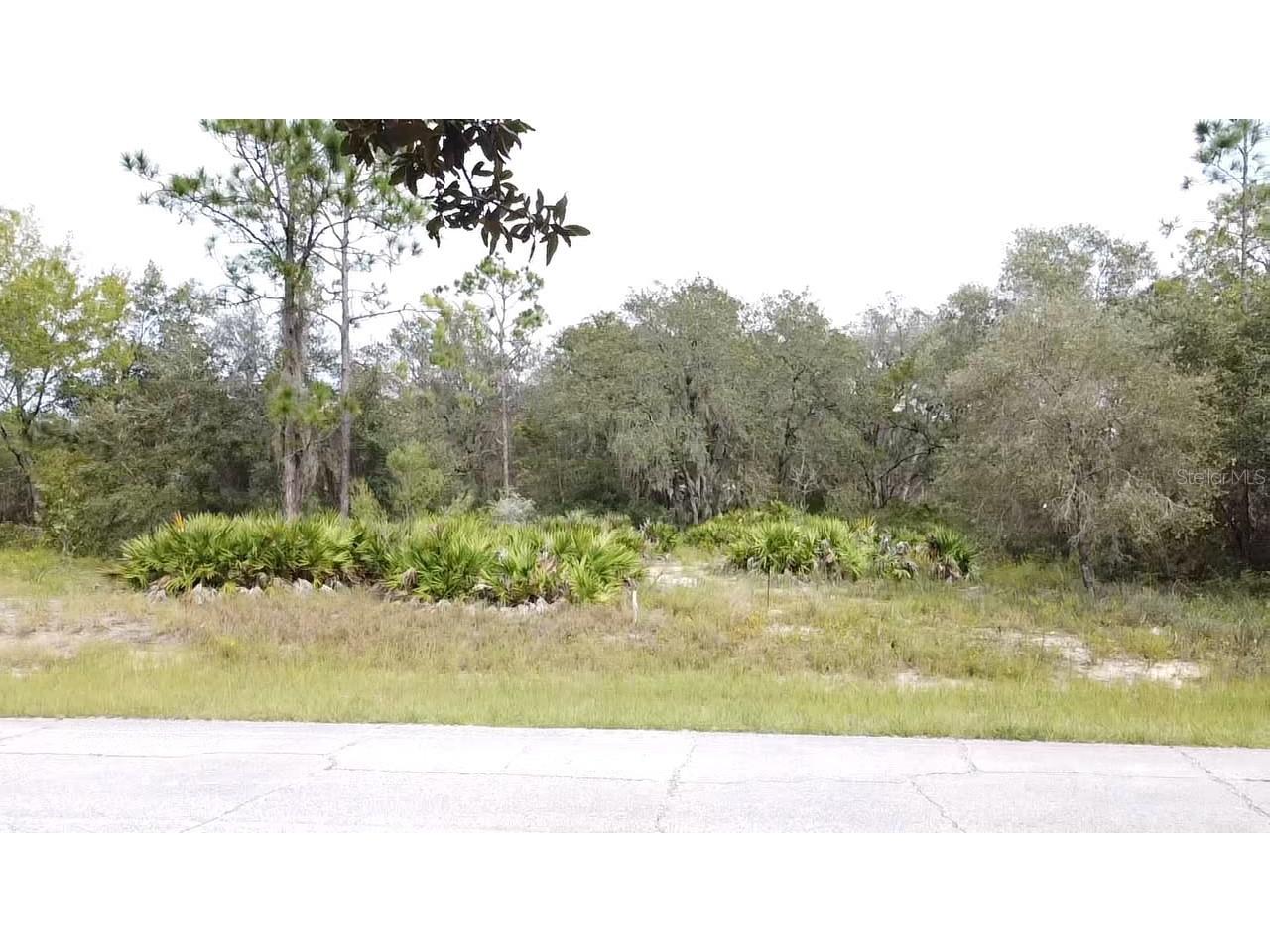 1405 Sarasota Court Poinciana FL 34759 S5099191 image24