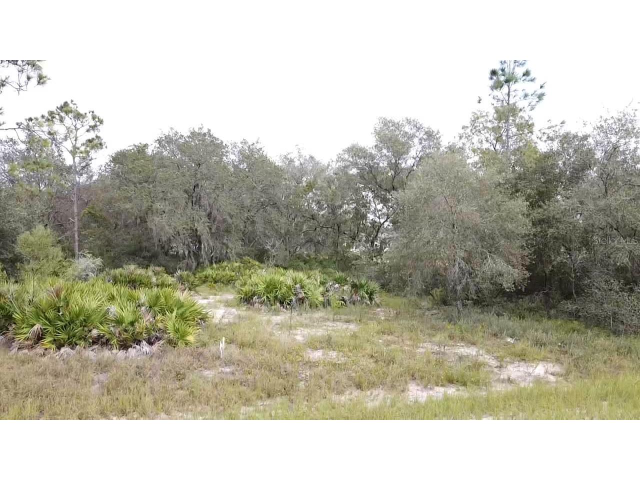 1405 Sarasota Court Poinciana FL 34759 S5099191 image4