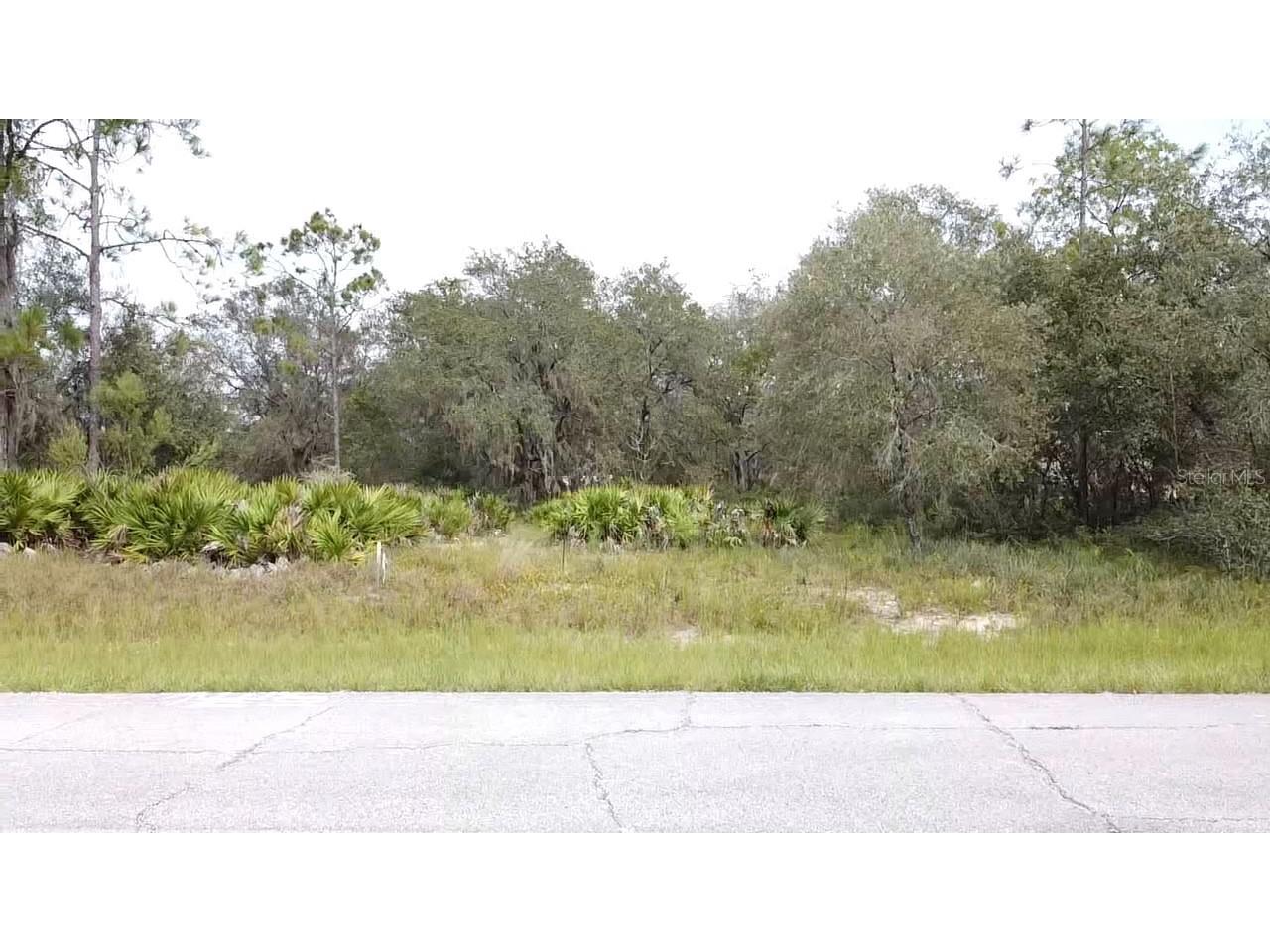 1405 Sarasota Court Poinciana FL 34759 S5099191 image8