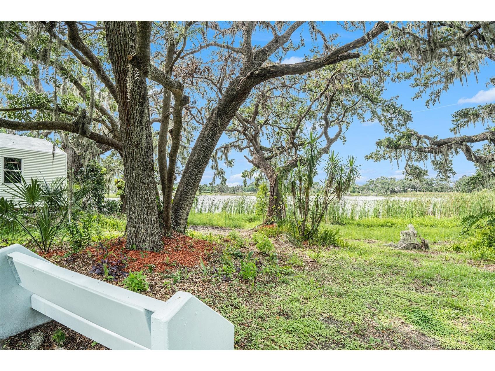 14050 Blackjack Road Dover FL 33527 O6392370 image33