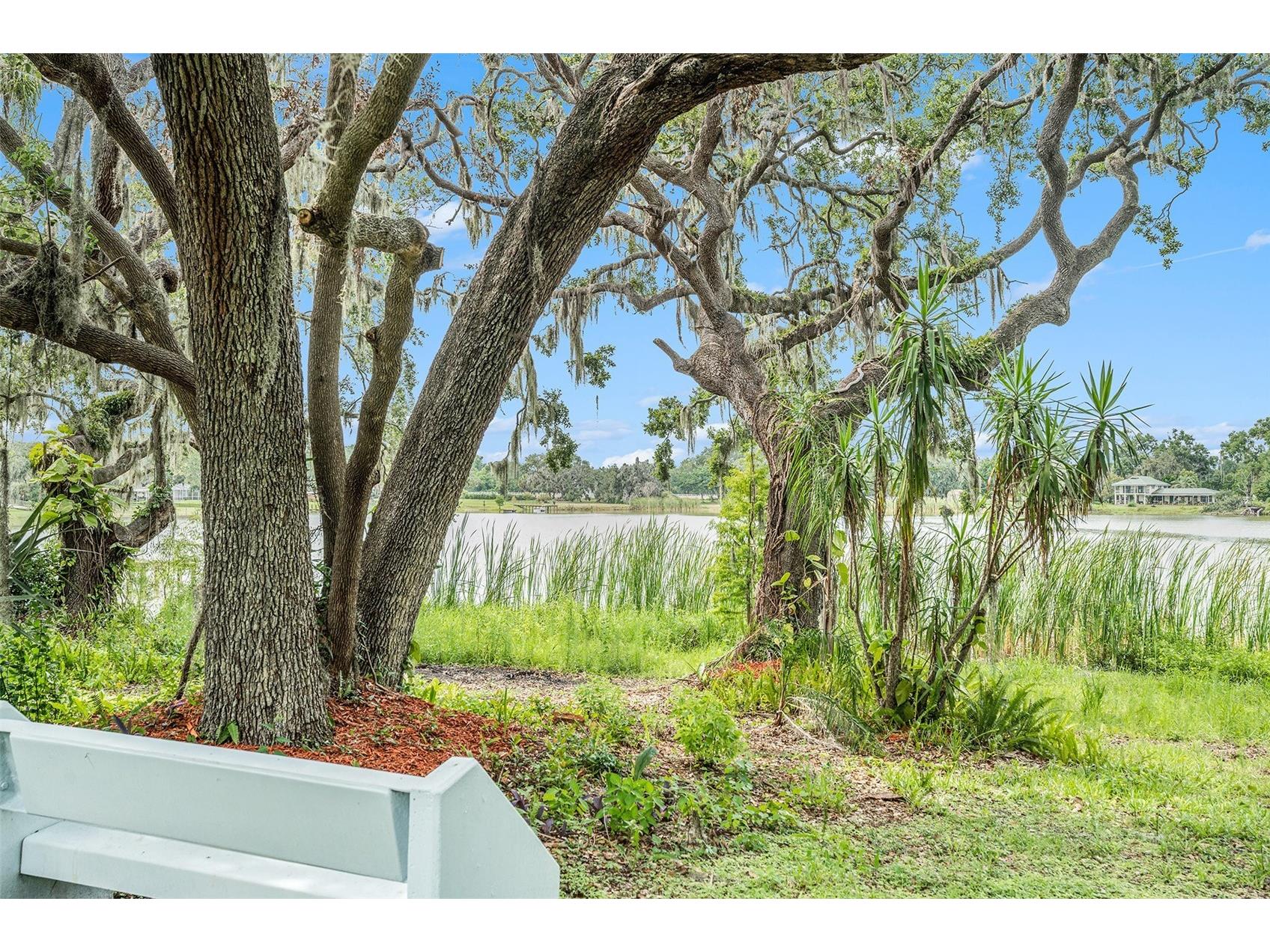 14050 Blackjack Road Dover FL 33527 O6392370 image34