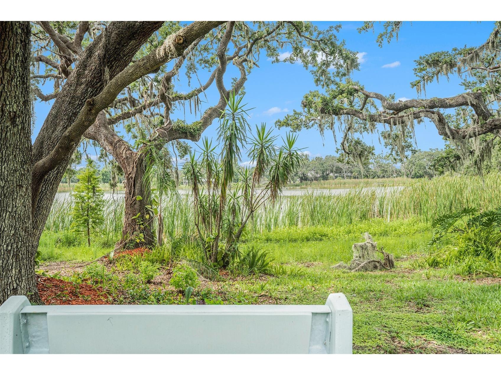 14050 Blackjack Road Dover FL 33527 O6392370 image35