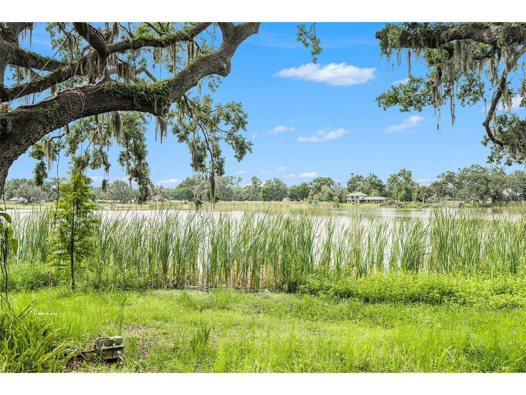 14050 Blackjack Road Dover FL 33527 O6392370 image36