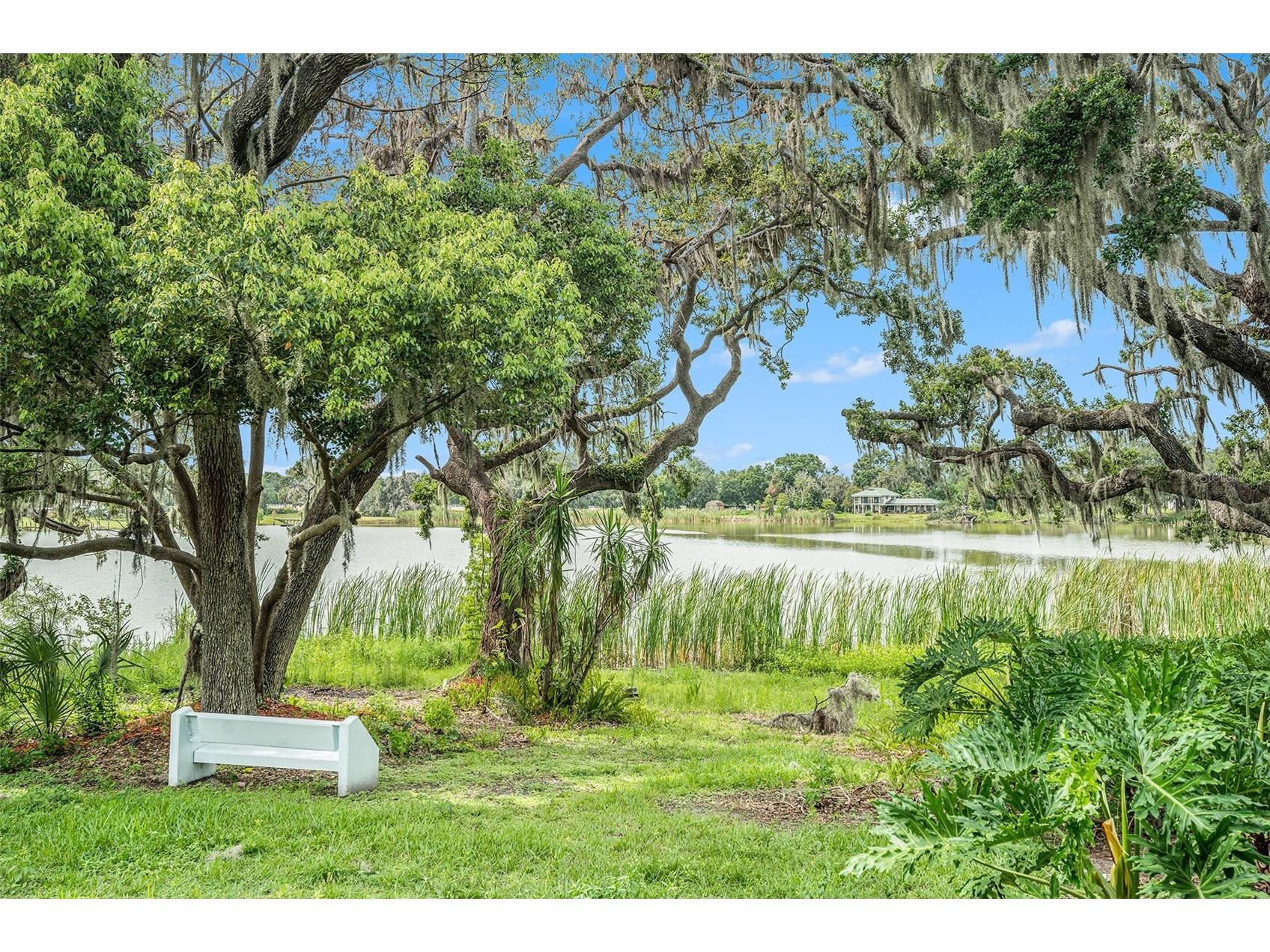 14050 Blackjack Road Dover FL 33527 O6392370 image37