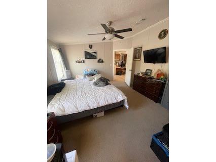 14050 SE 20 Street Morriston FL 32668 OM722884 image12