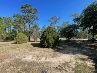 14050 SE 20 Street Morriston FL 32668 OM722884 image20
