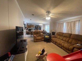 14050 SE 20 Street Morriston FL 32668 OM722884 image6