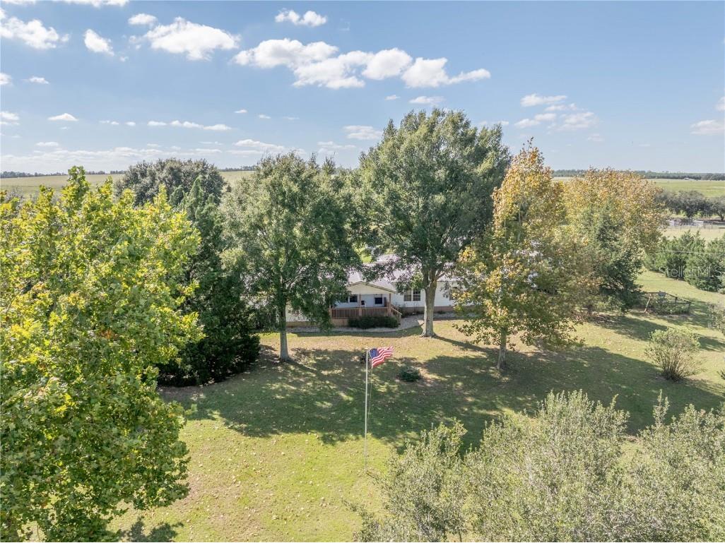 14050 SE 50th Street Morriston FL 32668 OM711581 image6