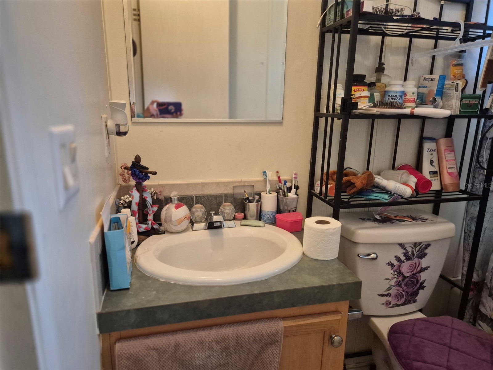 14051 SE 26th Street Morriston FL 32668 OM723355 image25