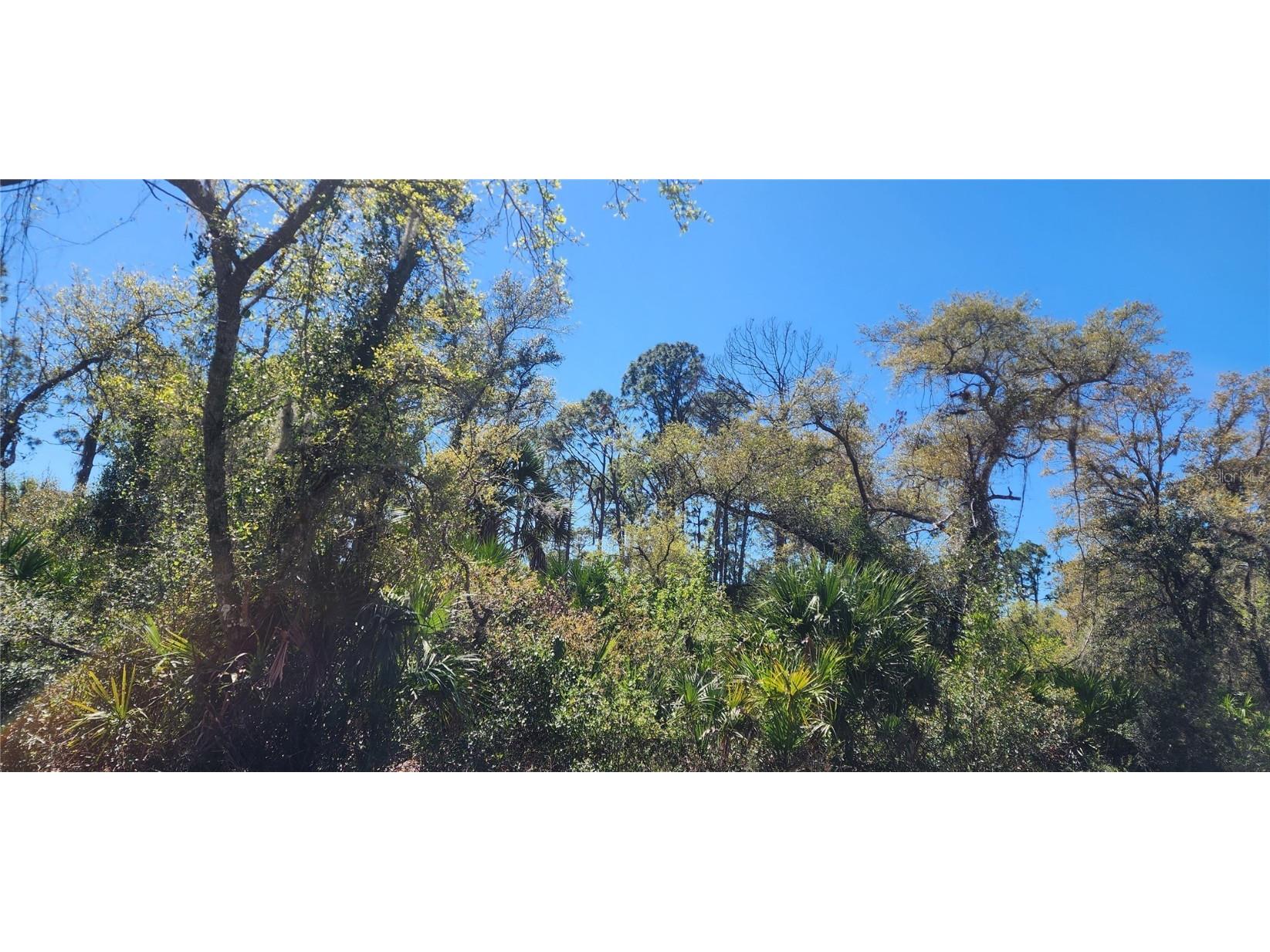 14051 Stanfield Avenue Port Charlotte FL 33953 D6141284 image11