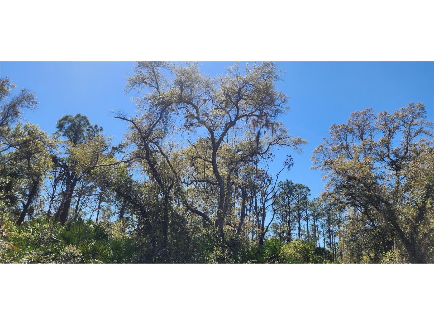 14051 Stanfield Avenue Port Charlotte FL 33953 D6141284 image12