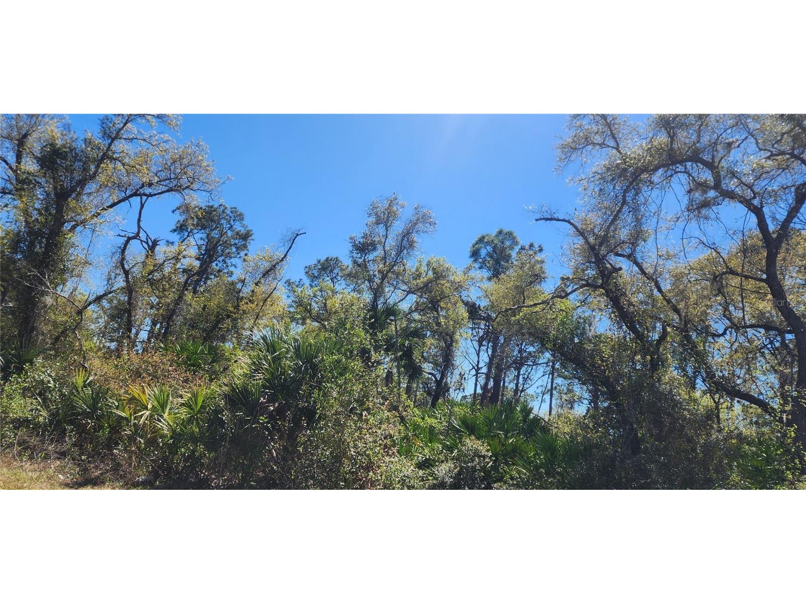 14051 Stanfield Avenue Port Charlotte FL 33953 D6141284 image13