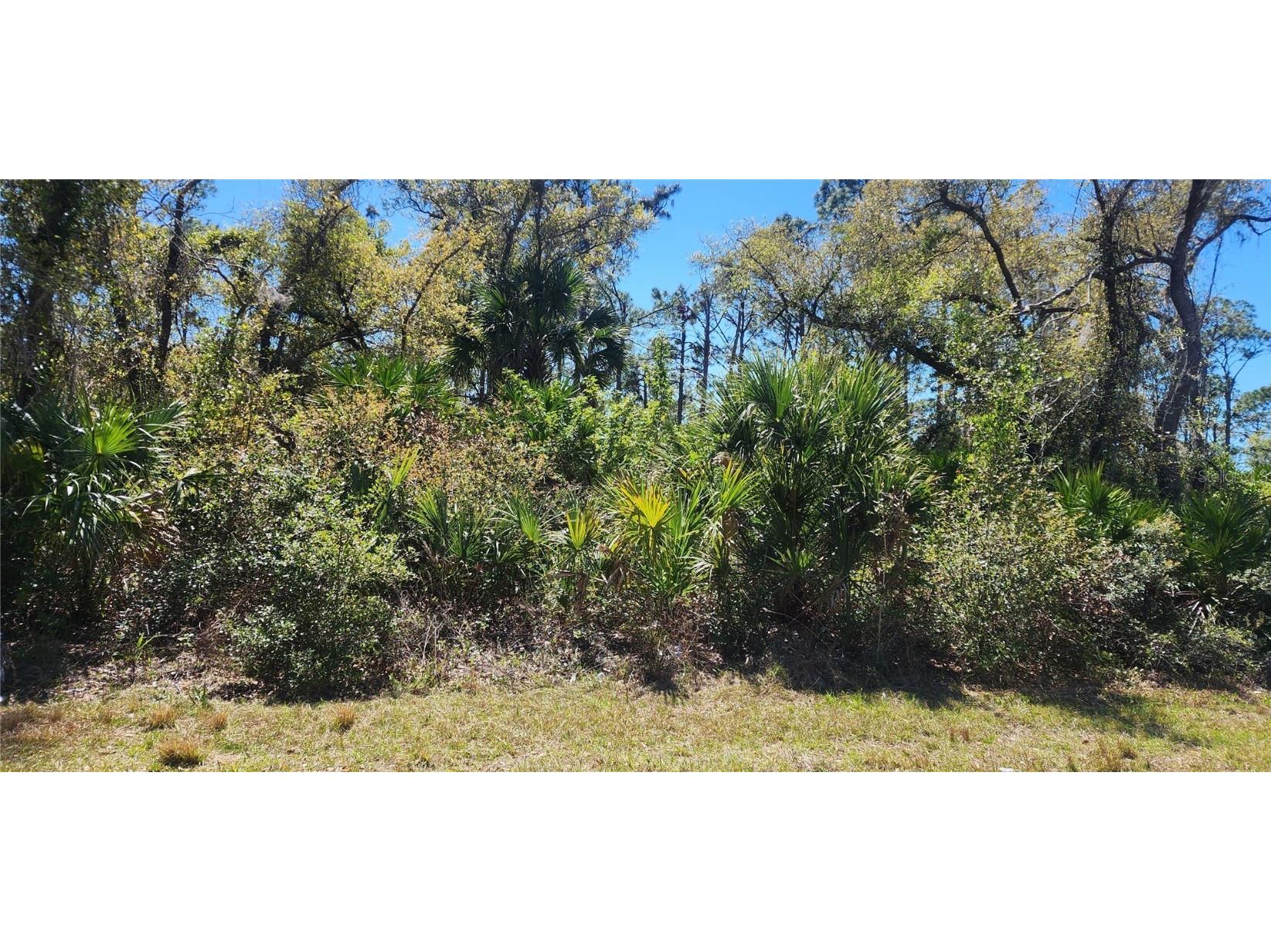 14051 Stanfield Avenue Port Charlotte FL 33953 D6141284 image6