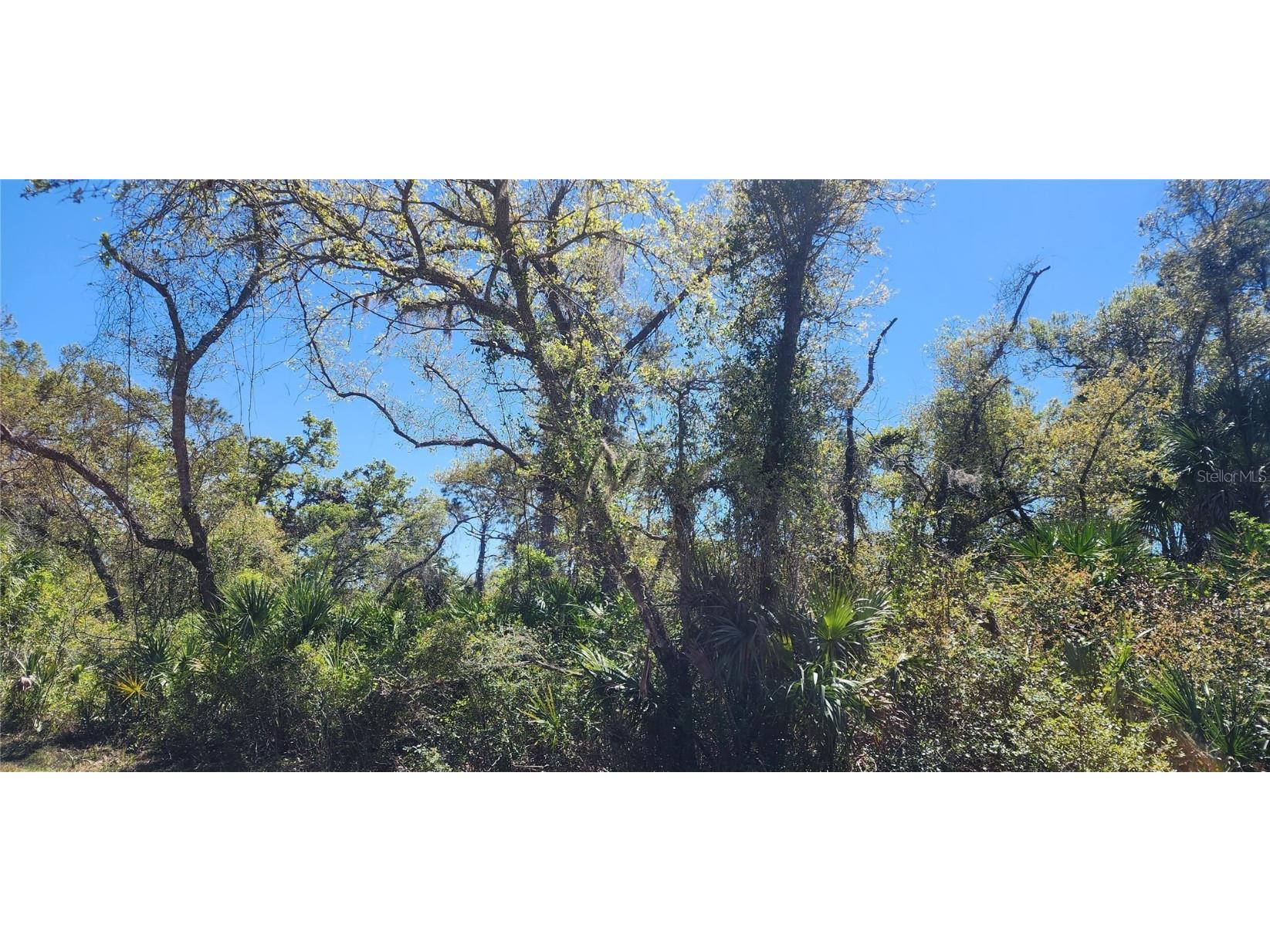 14051 Stanfield Avenue Port Charlotte FL 33953 D6141284 image9