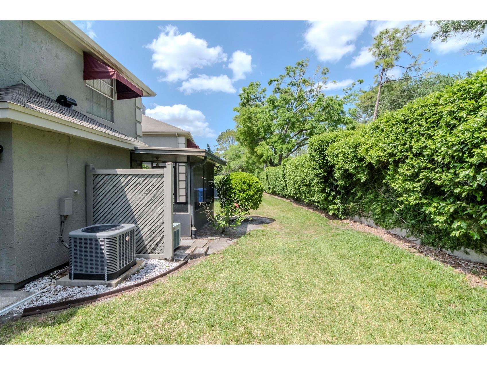 14053 Notreville Way Tampa FL 33624 TB8491506 image33