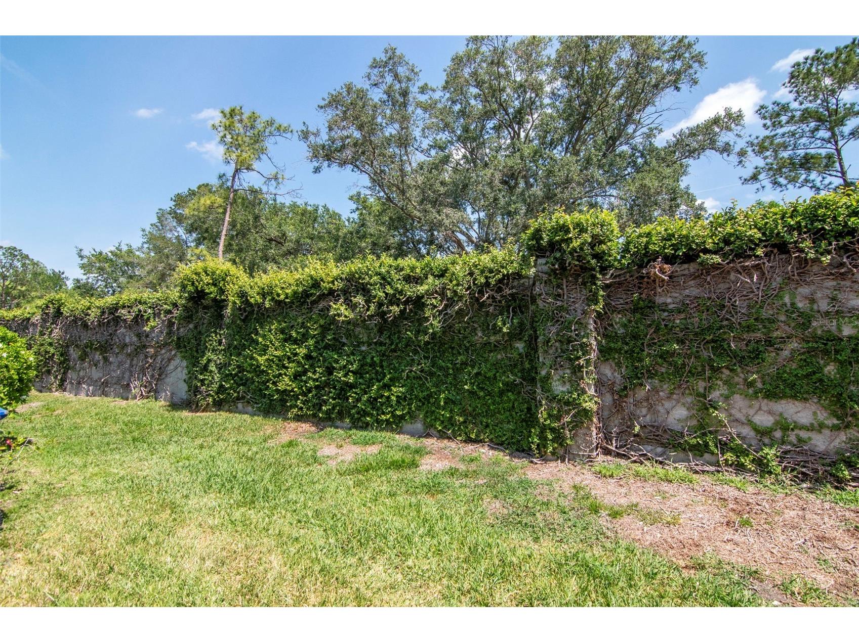 14053 Notreville Way Tampa FL 33624 TB8491506 image41