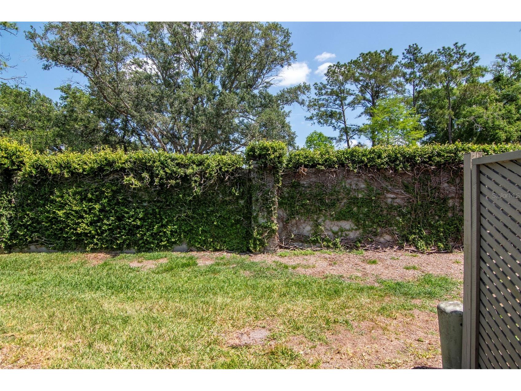 14053 Notreville Way Tampa FL 33624 TB8491506 image42