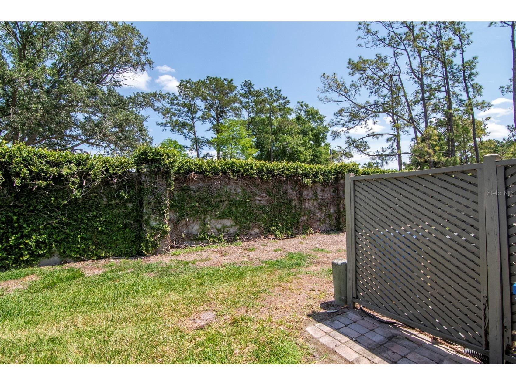 14053 Notreville Way Tampa FL 33624 TB8491506 image43