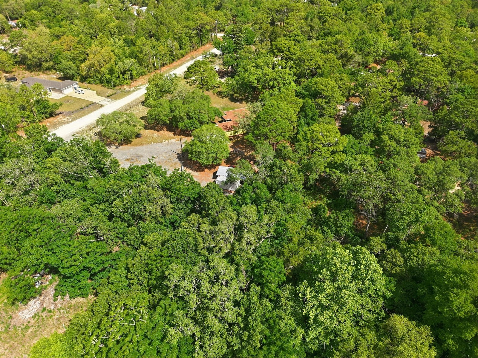 14056 Tayco Drive Weeki Wachee FL 34614 TB8501348 image79