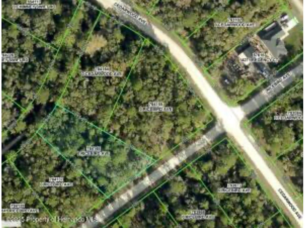 14059 Ricebird Avenue Weeki Wachee FL 34614 W7877593 image1