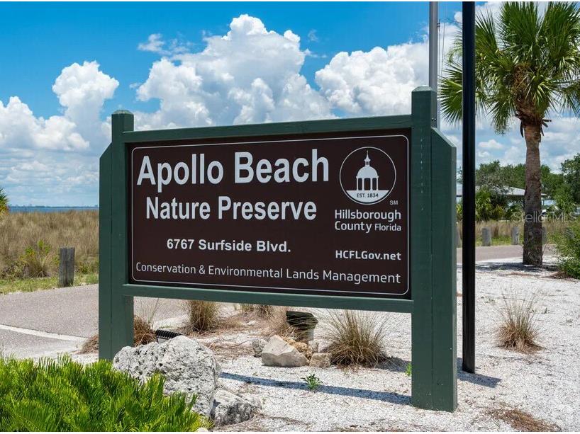 1406 Alhambra Drive Apollo Beach FL 33572 TB8427723 image56