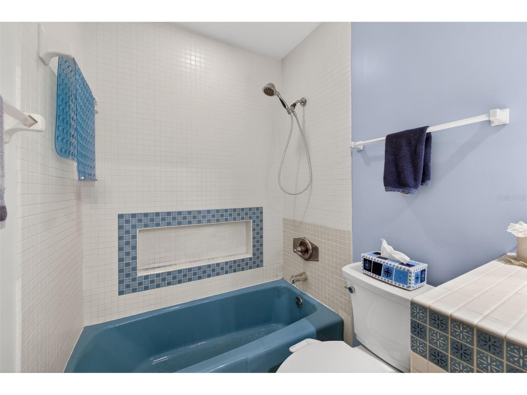 1406 Big Oak Court Brandon FL 33511 TB8519788 image14