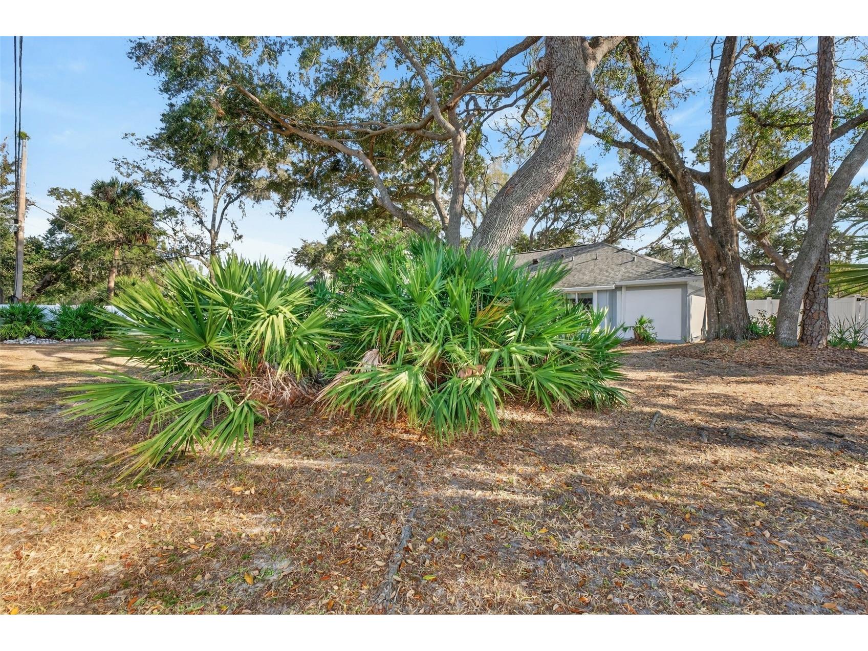 1406 Big Oak Court Brandon FL 33511 TB8519788 image59