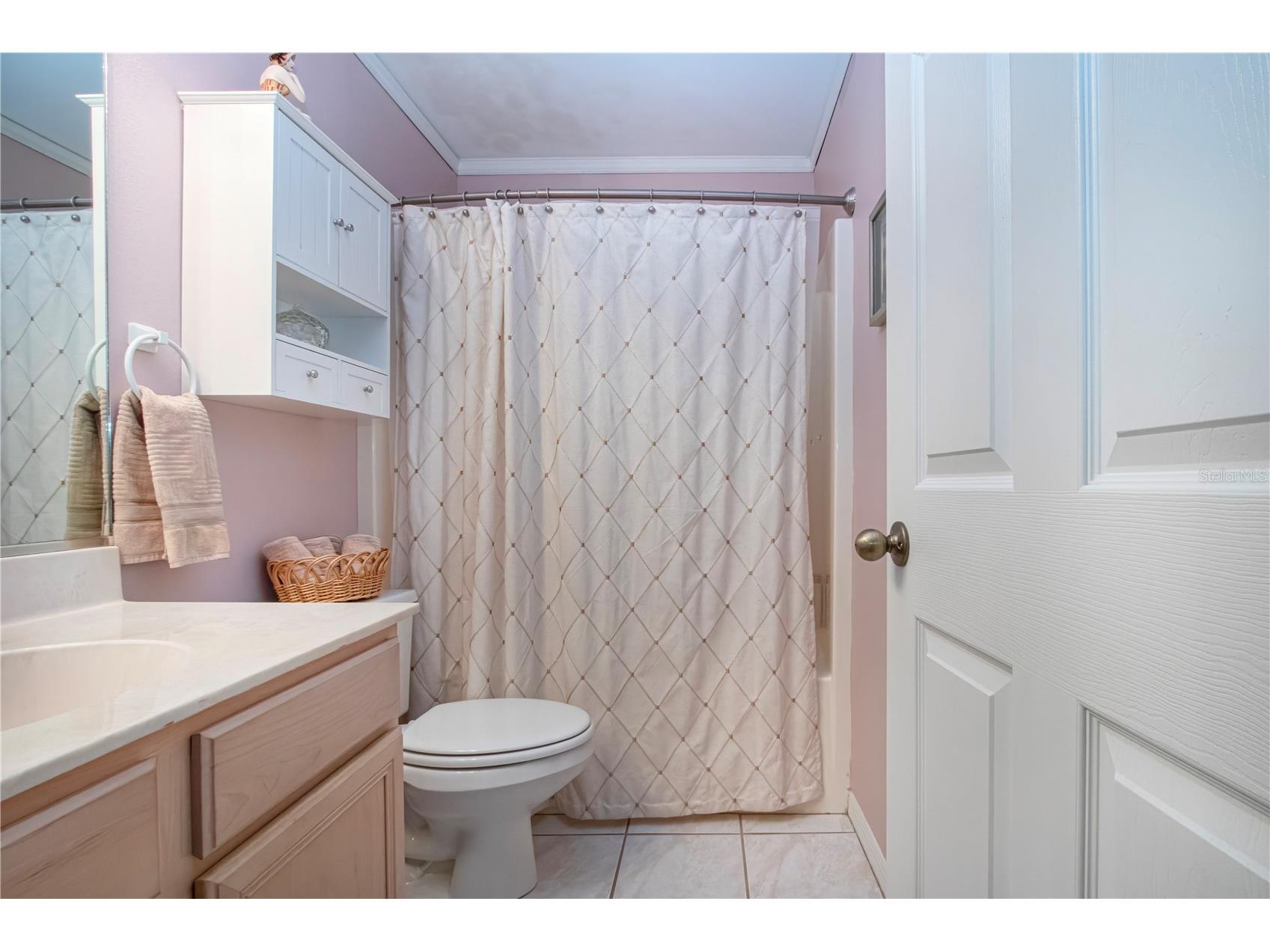 1406 Bluewater Drive Sun City Center FL 33573 TB8513637 image34